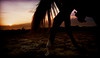 Kim Vickrey > Cowboy at Sunset