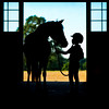 MSDA : Photographs for Mississippi Dressage Academy self promotion.